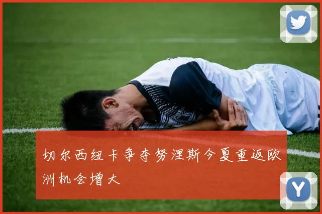 切尔西纽卡争夺努涅斯今夏重返欧洲机会增大