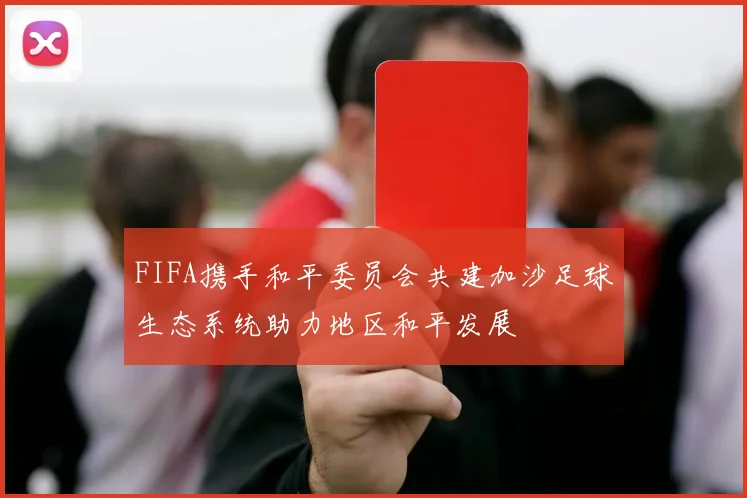 FIFA携手和平委员会共建加沙足球生态系统助力地区和平发展
