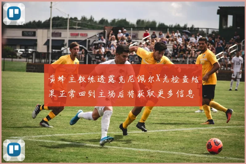 黄蜂主教练透露克尼佩尔X光检查结果正常回到主场后将获取更多信息