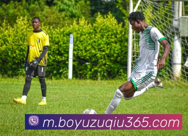 博鱼体育平台生态图